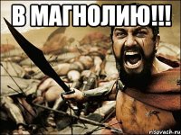 в магнолию!!! 