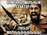 нужен нормальный сенатор? this is жаркыыыыыыыы