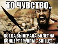 то чувство.. когда выиграла билет на концерт группы " skillet "