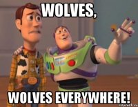 wolves, wolves everywhere!