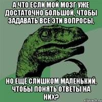 а что если мой мозг уже достаточно большой, чтобы задавать все эти вопросы, но ещё слишком маленький, чтобы понять ответы на них?