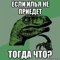 если илья не приедет тогда что?