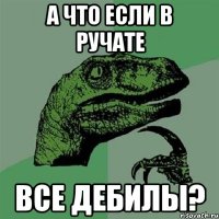 а что если в ручате все дебилы?