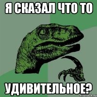 я сказал что то удивительное?