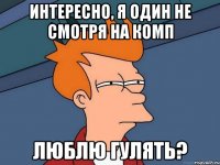 интересно, я один не смотря на комп люблю гулять?