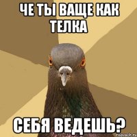 че ты ваще как телка себя ведешь?