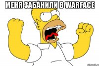 меня забанили в warface 