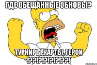 где обещанные обновы? турниры,карты, герои !??!?!?!?!?!??!