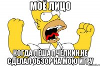 моё лицо когда лёша пчёлкин,не сделал обзор на мою игру