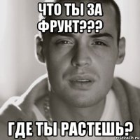 что ты за фрукт??? где ты растешь?