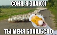 соня, я знаю)) ты меня боишься))