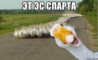 эт эс спарта 