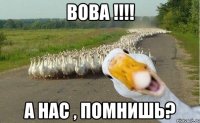 вова !!! а нас , помнишь?