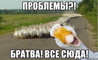 проблемы?! братва! все сюда!