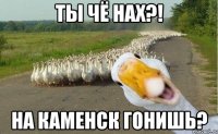 ты чё нах?! на каменск гонишь?