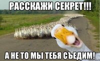 расскажи секрет!!! а не то мы тебя съедим!