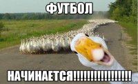 футбол начинается!!!