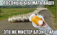 посоныыыы мать вашу это же мистер блэк стар