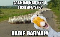 agamjan mgu-nyn 4 obshyagasyna nadip barmaly