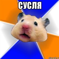 сусля 