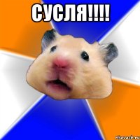 сусля!!! 