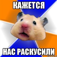 кажется нас раскусили