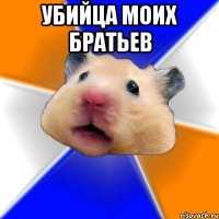 убийца моих братьев 