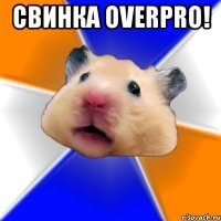 свинка overpro! 