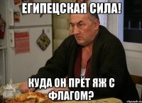 египецская сила! куда он прёт яж с флагом?