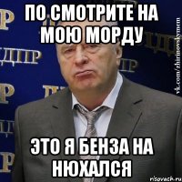 по смотрите на мою морду это я бенза на нюхался