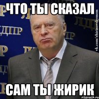 что ты сказал сам ты жирик