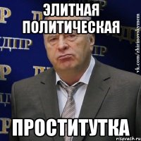 элитная политическая проститутка