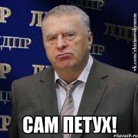  сам петух!