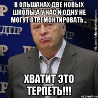 в ольшанах две новых школы,а у нас и одну не могут отремонтировать... хватит это терпеть!!!