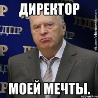 директор моей мечты.