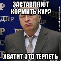 заставляют кормить кур? хватит это терпеть