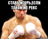 ставь игорь,если такой же рекс 