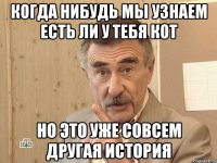 когда нибудь мы узнаем есть ли у тебя кот но это уже совсем другая история