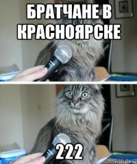 братчане в красноярске 222