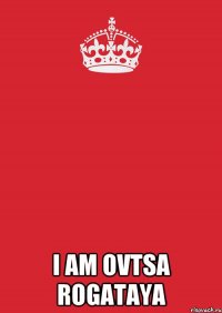  i am ovtsa rogataya