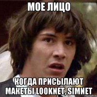 мое лицо когда присылают макеты looknet, simnet