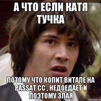 а что если катя тучка потому что копит витале на passat cc , недоедает и поэтому злая