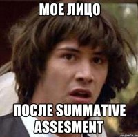 мое лицо после summative assesment