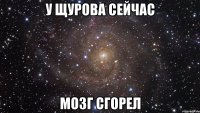 у щурова сейчас мозг сгорел