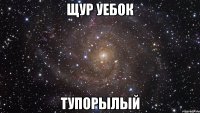 щур уебок тупорылый