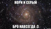 нори и серый бро навсегда :3