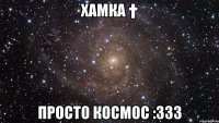 хамка † просто космос :333