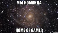 мы команда home of gamer