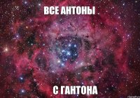 Все Антоны С Гантона