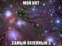 мой кот самый охуенный:3